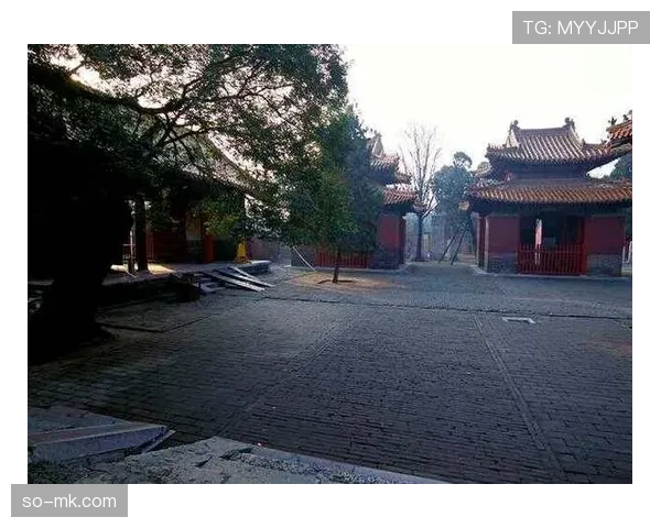 什么是持球五秒违例?带你看懂这条限制防守队员的判罚标准 什么是持球五秒违例?带你看懂这条限制防守队员的判罚标准